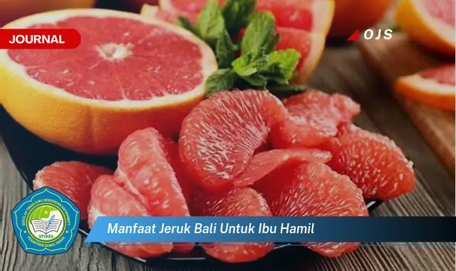 manfaat jeruk bali untuk ibu hamil