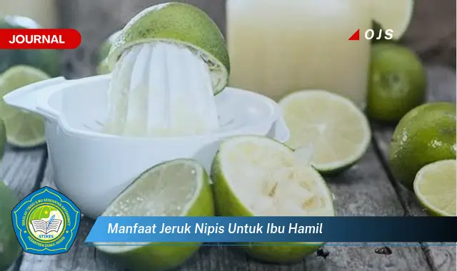 manfaat jeruk nipis untuk ibu hamil