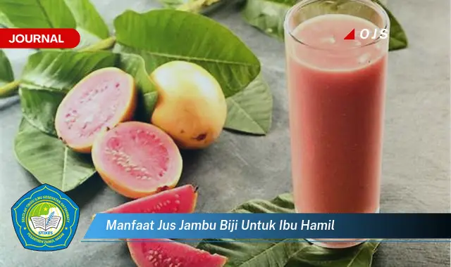 manfaat jus jambu biji untuk ibu hamil