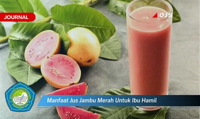 manfaat jus jambu merah untuk ibu hamil