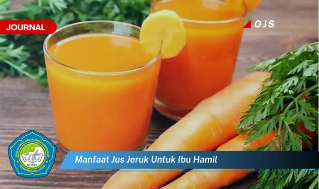 manfaat jus jeruk untuk ibu hamil