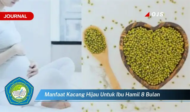 Ketahui 6 Manfaat Kacang Hijau untuk Ibu Hamil 8 Bulan yang Wajib Kamu Intip - E-Journal