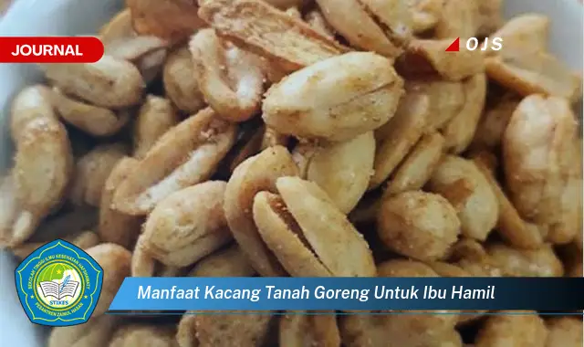 manfaat kacang tanah goreng untuk ibu hamil