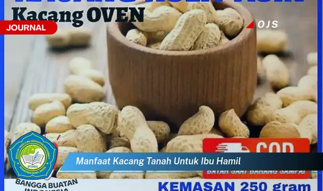 manfaat kacang tanah untuk ibu hamil