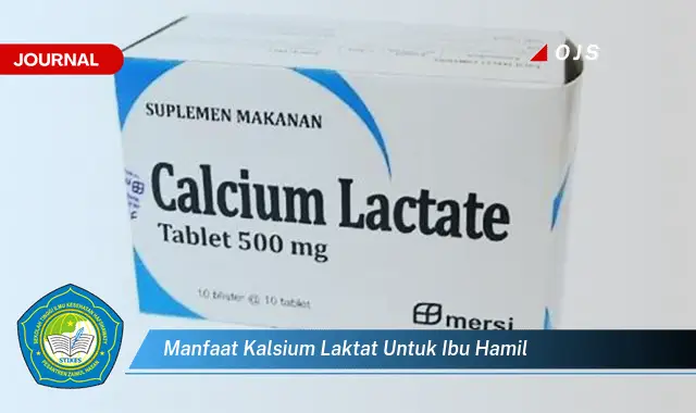manfaat kalsium laktat untuk ibu hamil