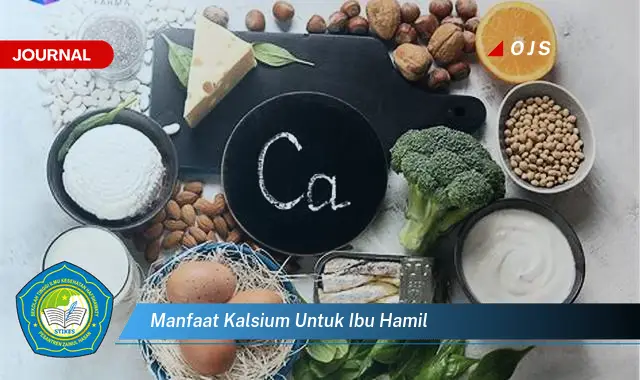 manfaat kalsium untuk ibu hamil