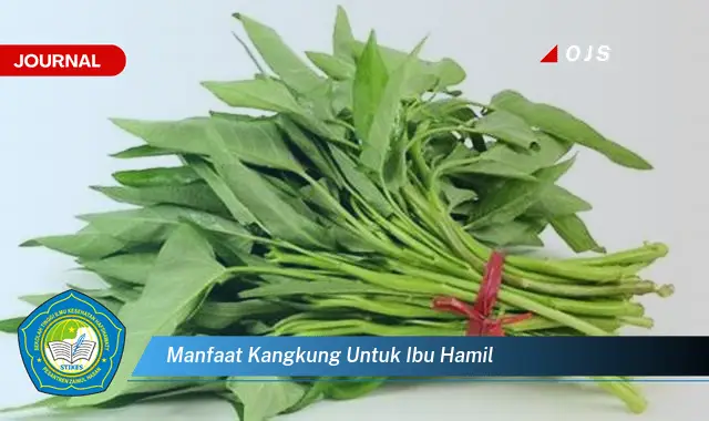 manfaat kangkung untuk ibu hamil manfaat kangkung untuk ibu hamil