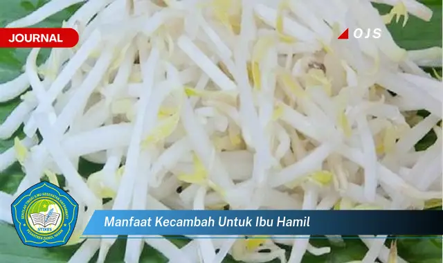 manfaat kecambah untuk ibu hamil manfaat kecambah untuk ibu hamil