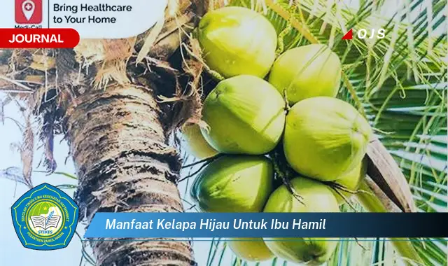 manfaat kelapa hijau untuk ibu hamil manfaat kelapa hijau untuk ibu hamil