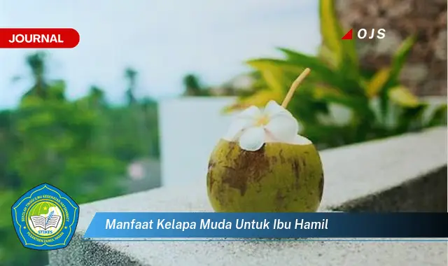manfaat kelapa muda untuk ibu hamil manfaat kelapa muda untuk ibu hamil
