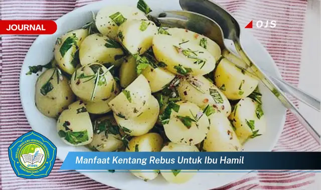 manfaat kentang rebus untuk ibu hamil