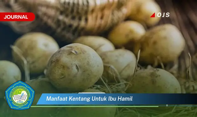 manfaat kentang untuk ibu hamil