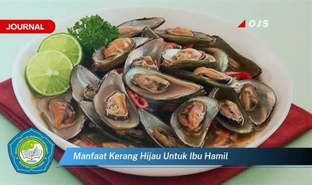 manfaat kerang hijau untuk ibu hamil