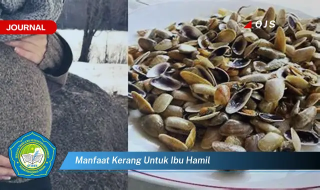 manfaat kerang untuk ibu hamil