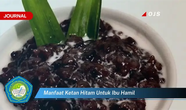 manfaat ketan hitam untuk ibu hamil manfaat ketan hitam untuk ibu hamil