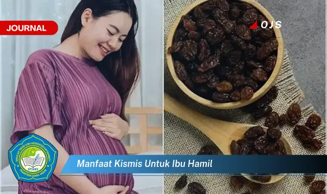 manfaat kismis untuk ibu hamil