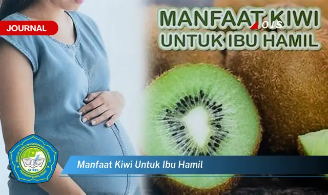 manfaat kiwi untuk ibu hamil manfaat kiwi untuk ibu hamil
