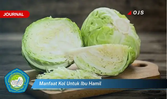 manfaat kol untuk ibu hamil