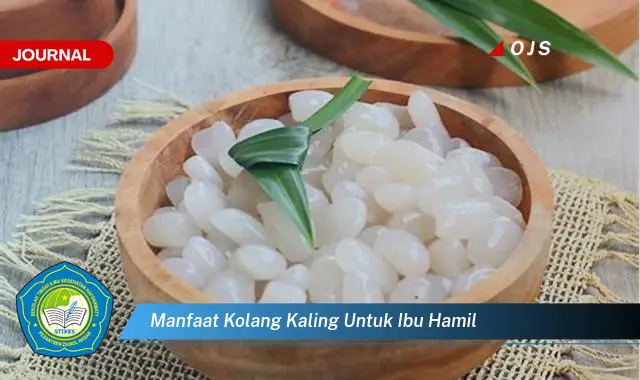 manfaat kolang kaling untuk ibu hamil