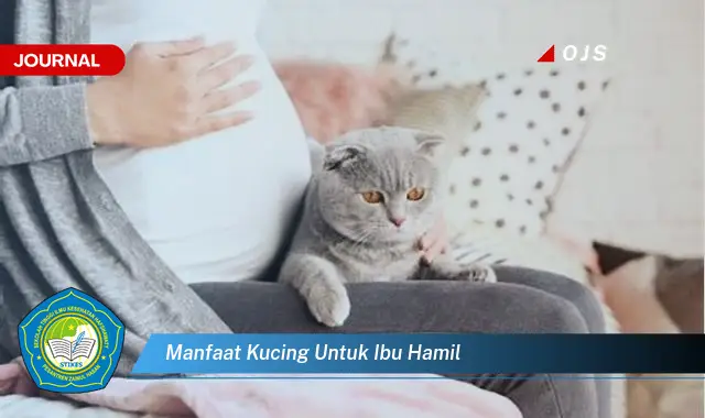 manfaat kucing untuk ibu hamil