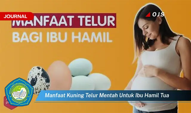 manfaat kuning telur mentah untuk ibu hamil tua