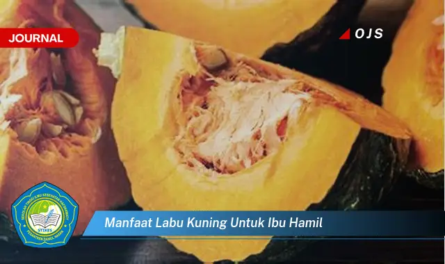 manfaat labu kuning untuk ibu hamil manfaat labu kuning untuk ibu hamil