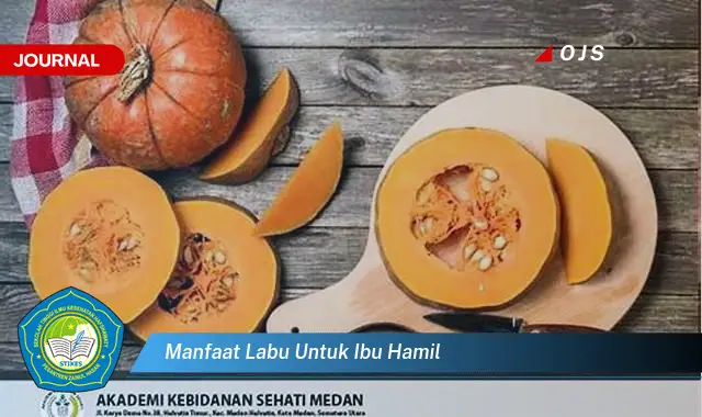 manfaat labu untuk ibu hamil manfaat labu untuk ibu hamil