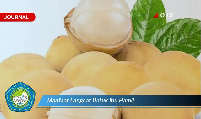 manfaat langsat untuk ibu hamil