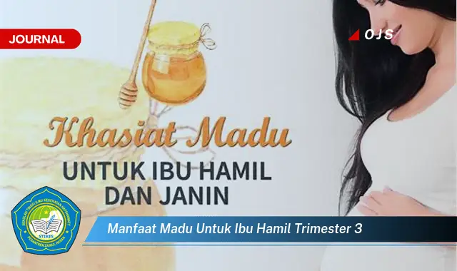 6 Manfaat Madu untuk Ibu Hamil Trimester 3 yang Bikin Kamu Penasaran - E-Journal