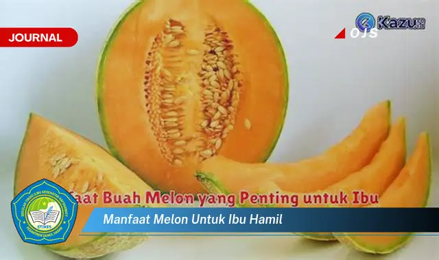 manfaat melon untuk ibu hamil