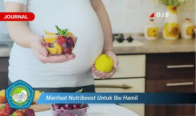 manfaat nutriboost untuk ibu hamil