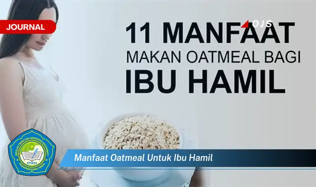 manfaat oatmeal untuk ibu hamil
