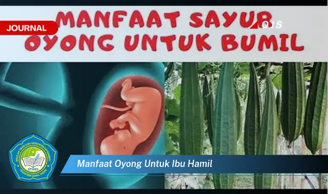 manfaat oyong untuk ibu hamil