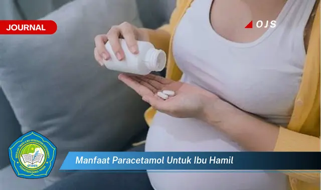 manfaat paracetamol untuk ibu hamil manfaat paracetamol untuk ibu hamil