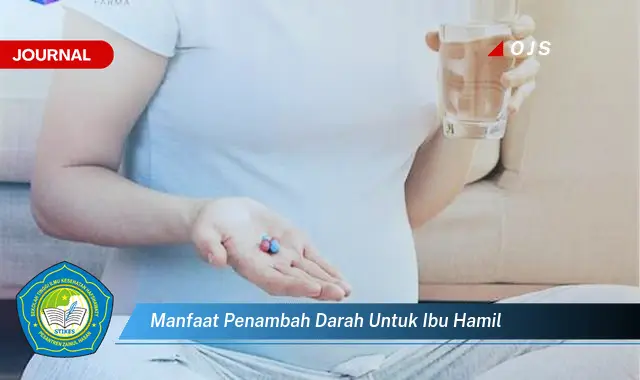 manfaat penambah darah untuk ibu hamil