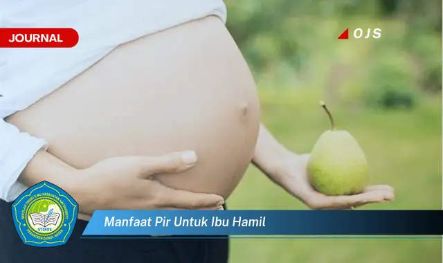manfaat pir untuk ibu hamil manfaat pir untuk ibu hamil