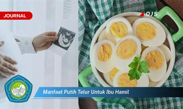 manfaat putih telur untuk ibu hamil