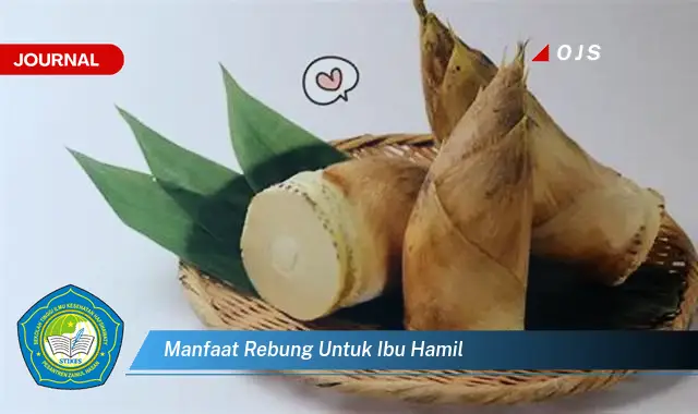 manfaat rebung untuk ibu hamil