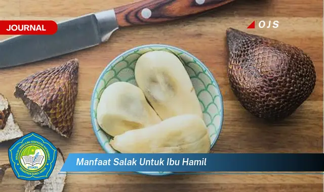 manfaat salak untuk ibu hamil