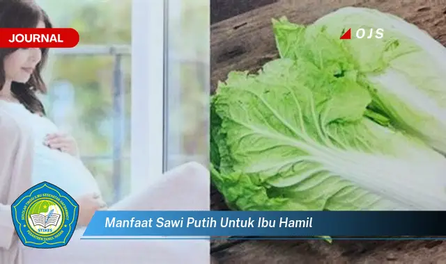 manfaat sawi putih untuk ibu hamil