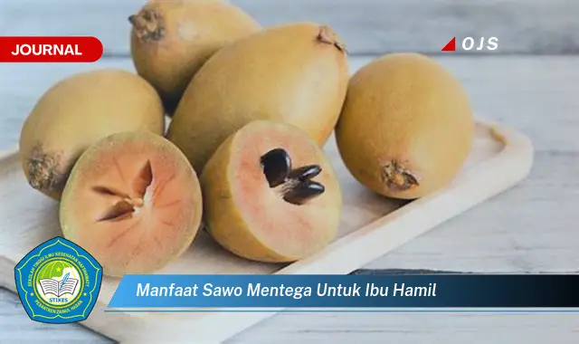 manfaat sawo mentega untuk ibu hamil manfaat sawo mentega untuk ibu hamil