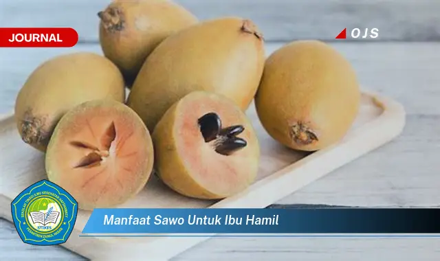 manfaat sawo untuk ibu hamil