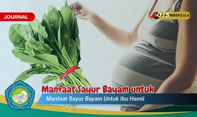 manfaat sayur bayam untuk ibu hamil manfaat sayur bayam untuk ibu hamil