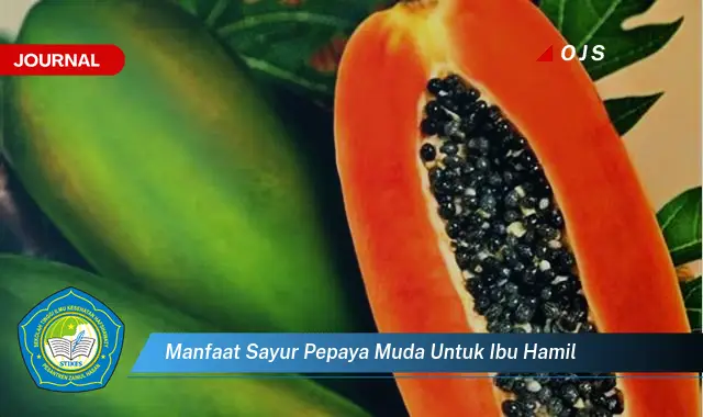 manfaat sayur pepaya muda untuk ibu hamil