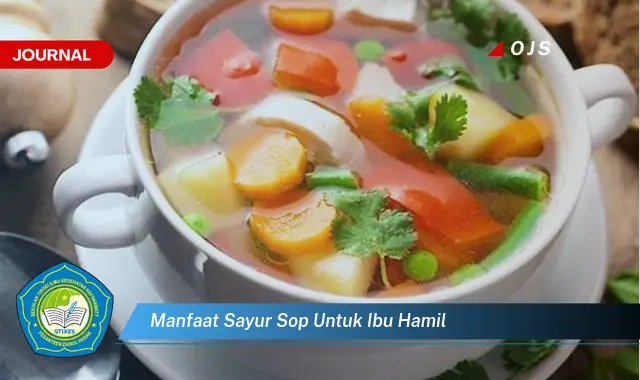 manfaat sayur sop untuk ibu hamil