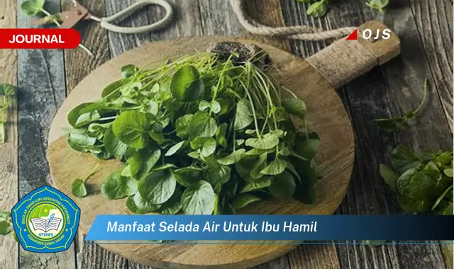 manfaat selada air untuk ibu hamil