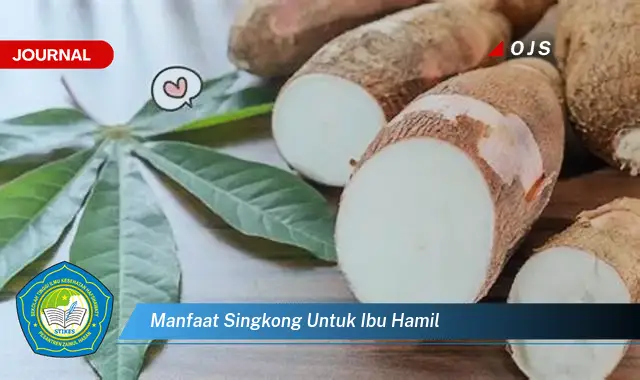manfaat singkong untuk ibu hamil manfaat singkong untuk ibu hamil