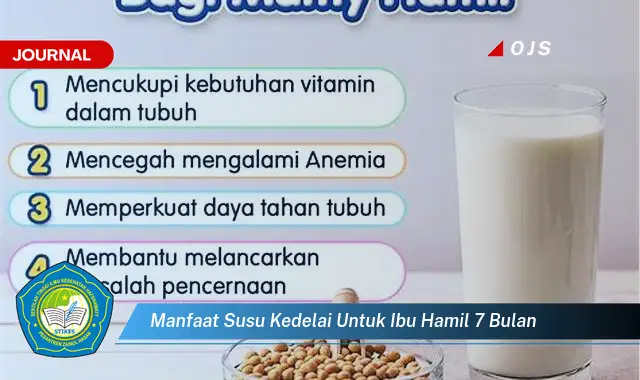 manfaat susu kedelai untuk ibu hamil 7 bulan manfaat susu kedelai untuk ibu hamil 7 bulan