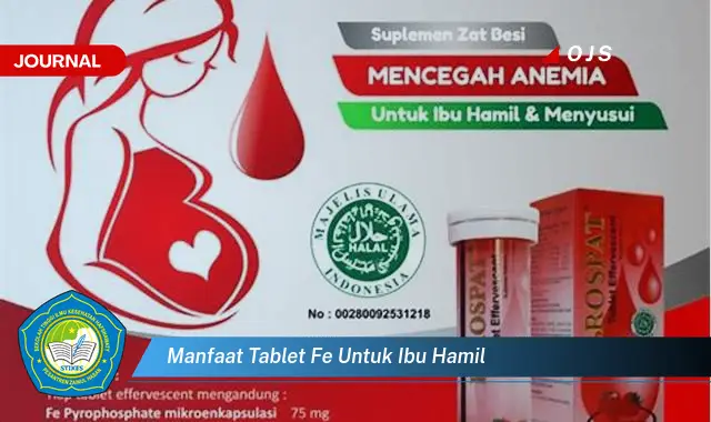 manfaat tablet fe untuk ibu hamil