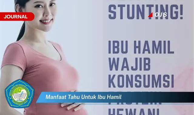 manfaat tahu untuk ibu hamil manfaat tahu untuk ibu hamil